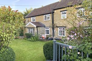 Garden in Summer- click for photo gallery